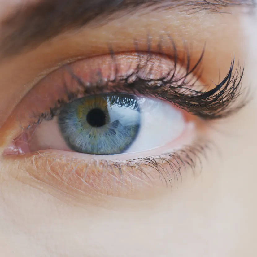 Bestes Wimpernserum Test Wimpernseren Testsieger